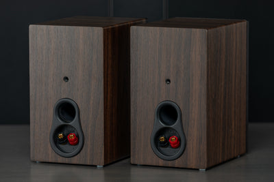 Basic PSB Bookshelf Speaker Package