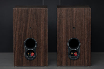 Basic PSB Bookshelf Speaker Package