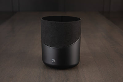 Bluesound PULSE M - Compact Wireless Streaming Speaker