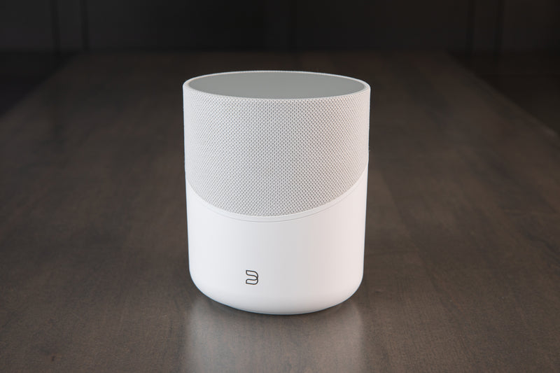 Bluesound PULSE M - Compact Wireless Streaming Speaker