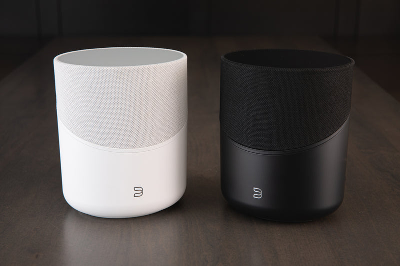 Bluesound PULSE M - Compact Wireless Streaming Speaker