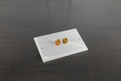 Binding Post Decor Wall Plate 2 Port